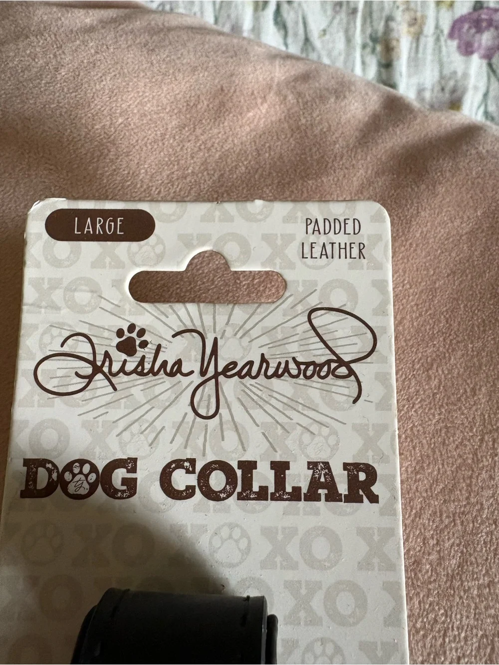 Signature Black Dog Collar with Silver Paw Accent